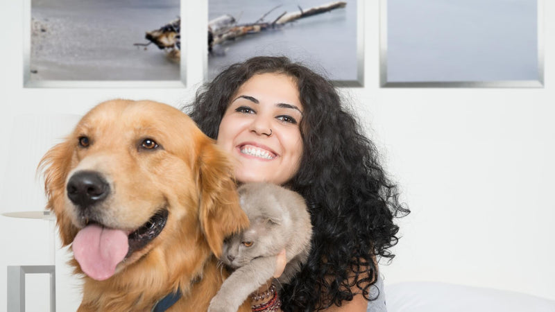 Pets Como Terapeutas: Como Animais de Estimação Beneficiam Nossa Saúde Mental