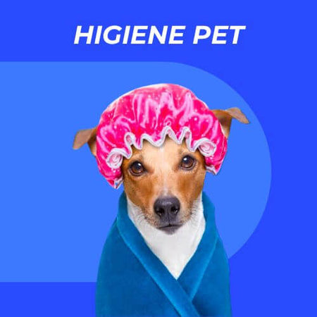Higiene Pet Produtos Cachorro Usando Uma Touca De Banho