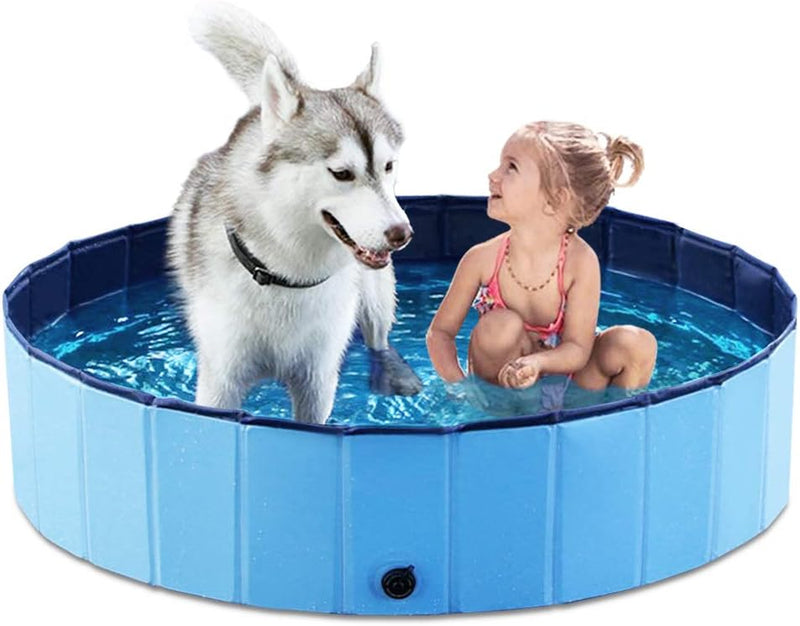 Piscina Para Cachorro Dobrável