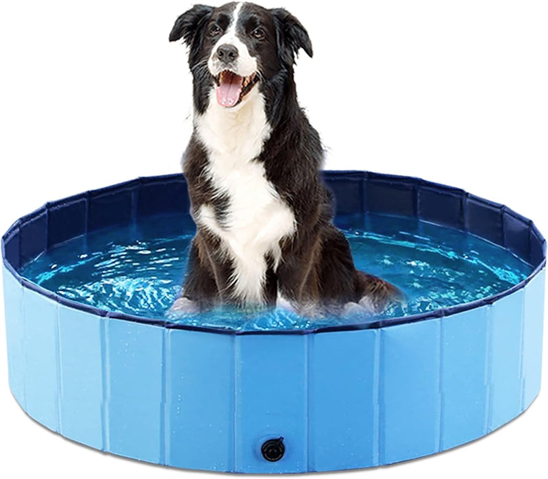 Piscina Para Cachorro Dobrável