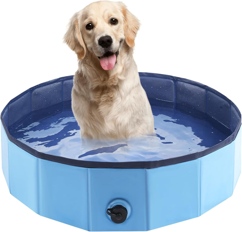 Piscina Para Cachorro Dobrável