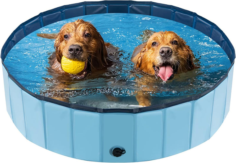 Piscina Para Cachorro Dobrável