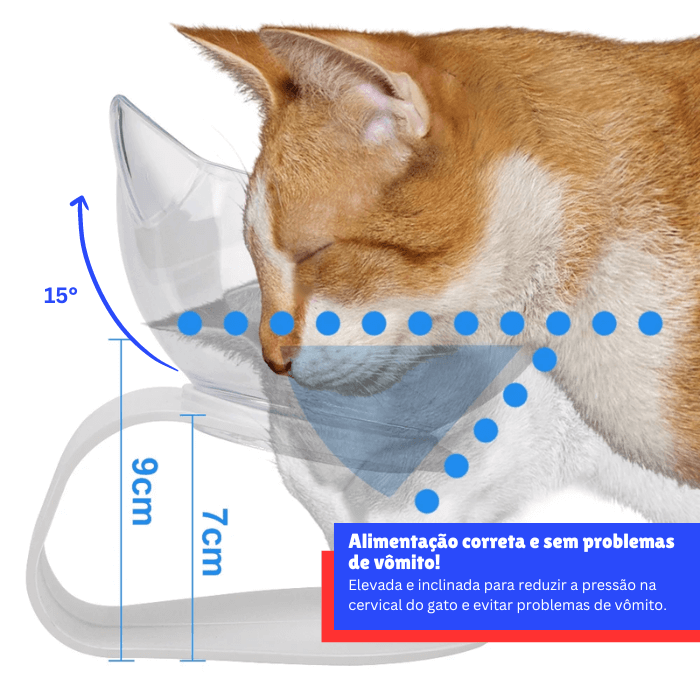 Tigela Dupla Elevada para Gatos