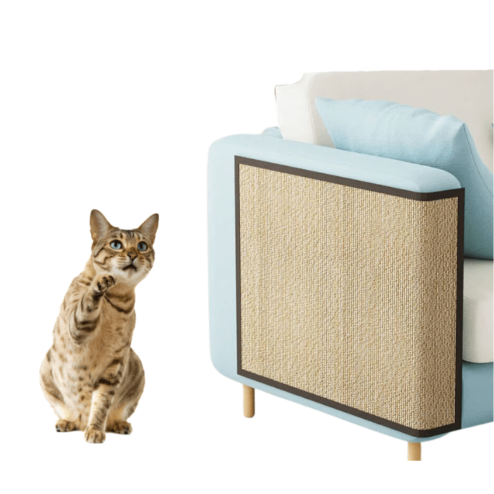 A imagem mostra um sofá de cor clara com detalhes em azul claro, e uma das suas laterais possui um painel incorporado de arranhador para gatos, que é uma característica inteligente para evitar danos ao mobiliário causados pelos instintos naturais dos gatos de afiar as garras. Ao lado do sofá, há um gato sentado, olhando para cima e com uma pata levantada, como se estivesse chamando atenção ou pedindo algo.