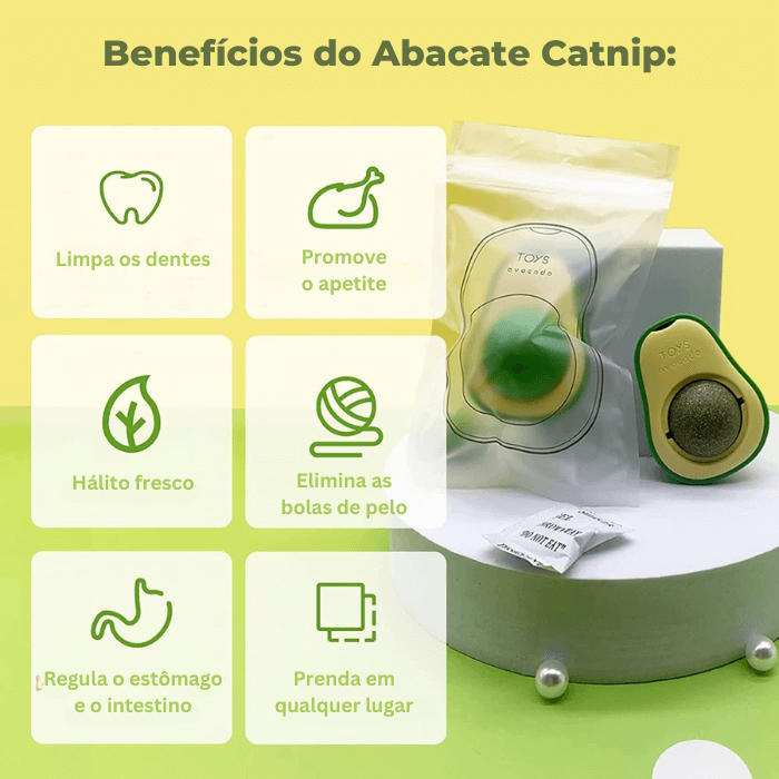 Abacate Catnip Brinquedo Erva do Gato