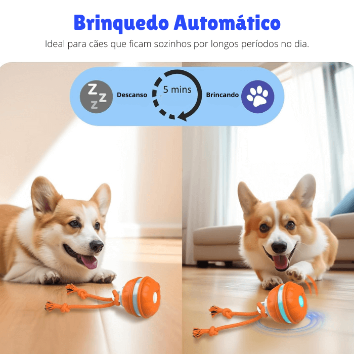 Brinquedo Interativo para Cachorro Bola Automática