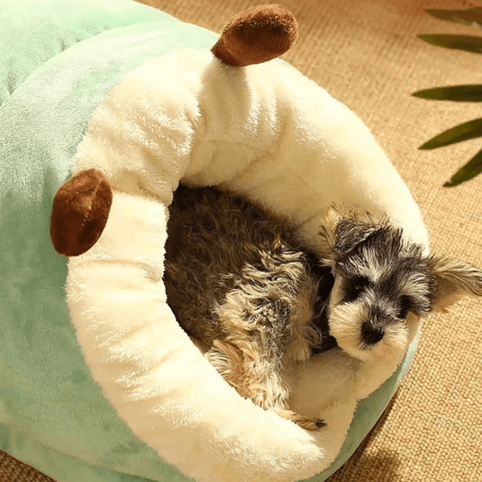 Cama Pet Pantufa em Pelúcia Super Aconchegante