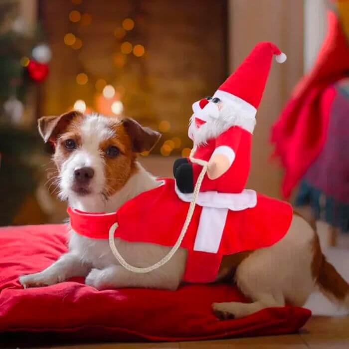 Fantasia Para Cachorro E Gato Papai Noel Cavalgando