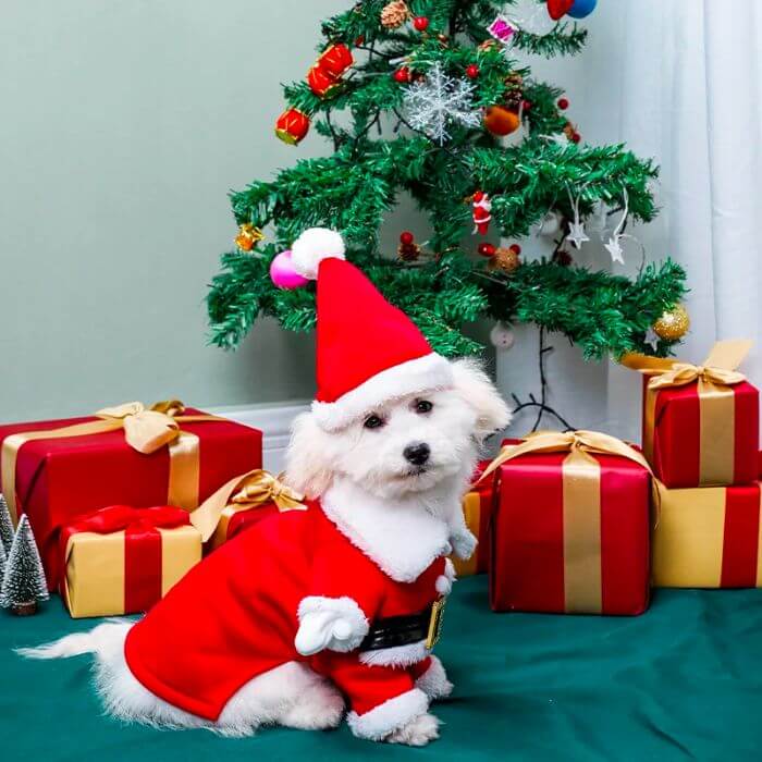 Roupinha De Natal Para Cachorro E Gato Papai Noel