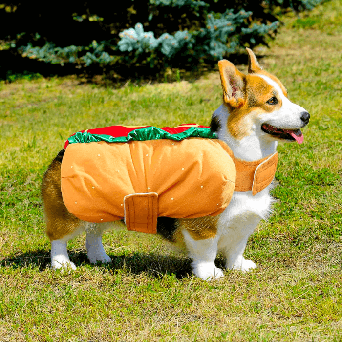 Fantasia de Carnaval Para Pet Cachorro-Quente