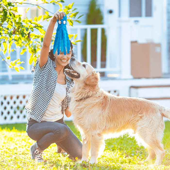 Brinquedo Pelúcia para Cachorro Polvo Divertido que faz Barulho