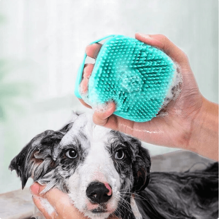 Imagem de uma mão humana segurando uma escova de banho para cachorro na cor azul-turquesa, aplicando shampoo em um cachorro de pelo preto e branco durante o banho. O cachorro, com expressão calma e olhos atentos, parece estar aproveitando a massagem proporcionada pela escova, que tem cerdas de silicone. Bolhas de sabão são visíveis na escova e na cabeça do cachorro, sugerindo um banho cuidadoso e relaxante. O fundo é neutro e desfocado, focando a atenção na interação entre o cachorro e o cuidador.