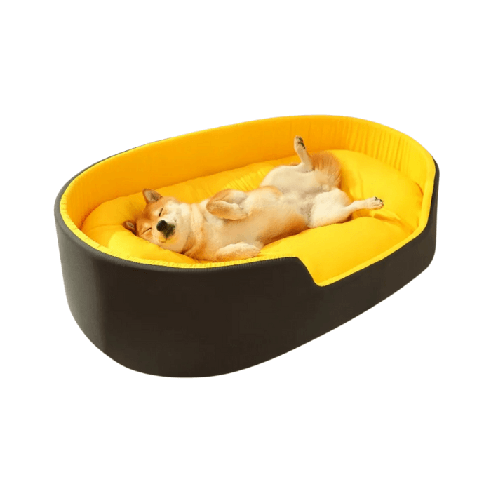 Cama confortável para cachorros em formato oval, com bordas externas na cor preta e interior acolchoado em amarelo vibrante. Um Shiba Inu está deitado de costas, relaxado e com as patas para cima, demonstrando a maciez e o conforto da cama. O fundo é neutro, destacando a cama e o cachorro descansando.