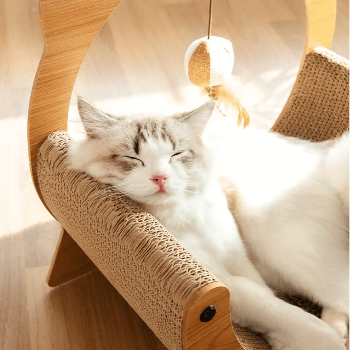 A imagem apresenta um gato de pelo longo, principalmente branco com manchas cinza, relaxando em um arranhador com design inovador. Este arranhador tem uma forma que lembra a de uma cadeira ou berço, com uma estrutura de madeira curva e uma área central revestida de papelão um material favorito entre os felinos para afiar suas unhas. Acima do gato, pendurado na parte superior do arranhador, há um brinquedo feito de corda e uma bola, adicionando uma opção extra para brincadeira.