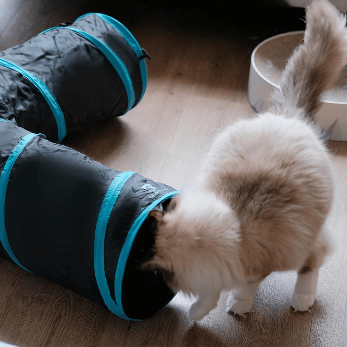 Túnel para Gatos Brinquedo Interativo para Gato