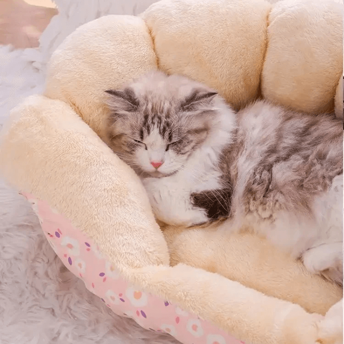 Cama para Gato Saco de Dormir