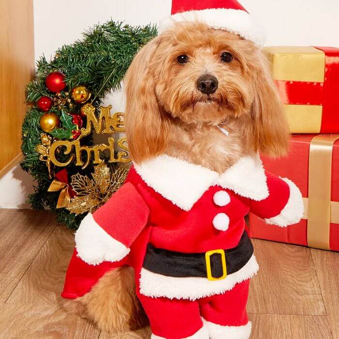 Roupinha De Natal Para Cachorro E Gato Papai Noel