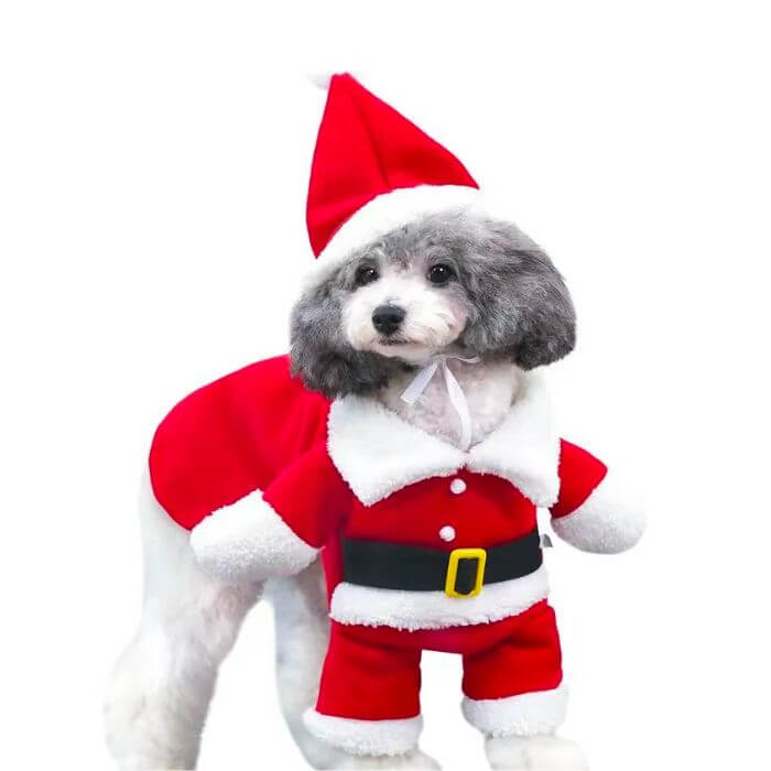 Roupinha De Natal Para Cachorro E Gato Papai Noel