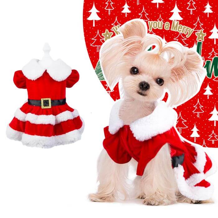 Roupinha Natal Pet Vestidinho Mamãe Noel