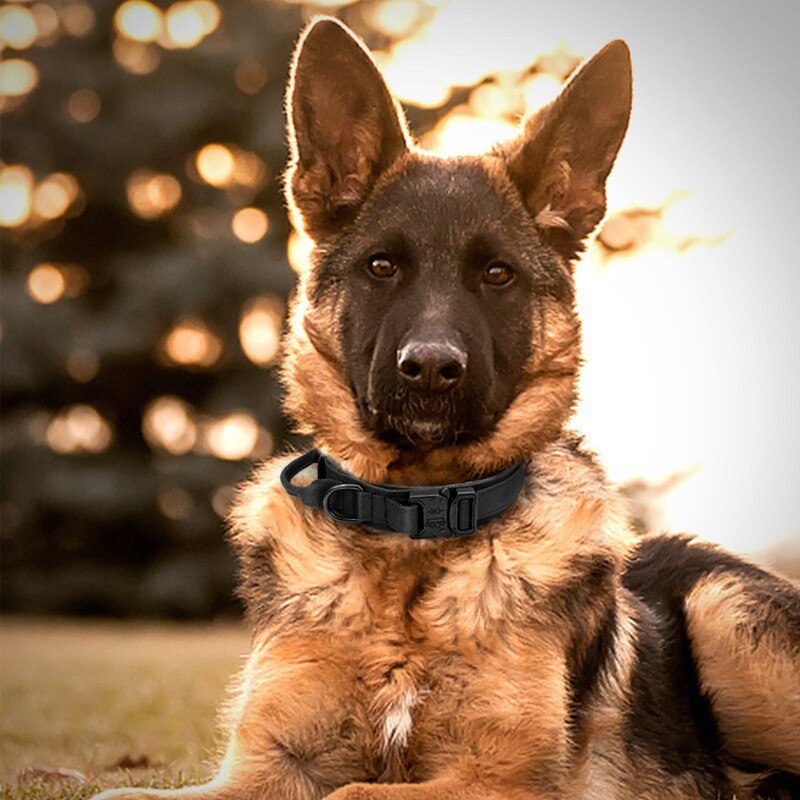 Coleira Tática Militar Para Cães Ultra Reforçada