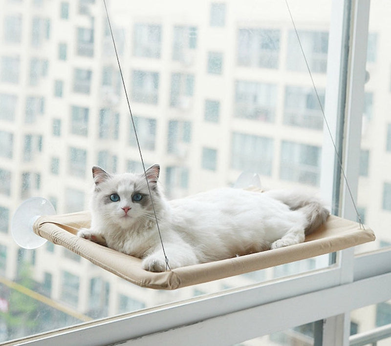 Cama De Janela Para Gato