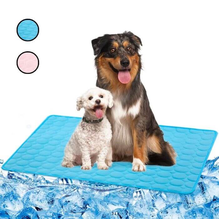 Um cão pastor australiano e um poodle branco estão sentados juntos em um tapete de resfriamento azul. Acima deles, dois círculos mostram as cores disponíveis do tapete: azul e rosa. A base da imagem tem uma ilustração de cubos de gelo, sugerindo o frescor proporcionado pelo tapete.