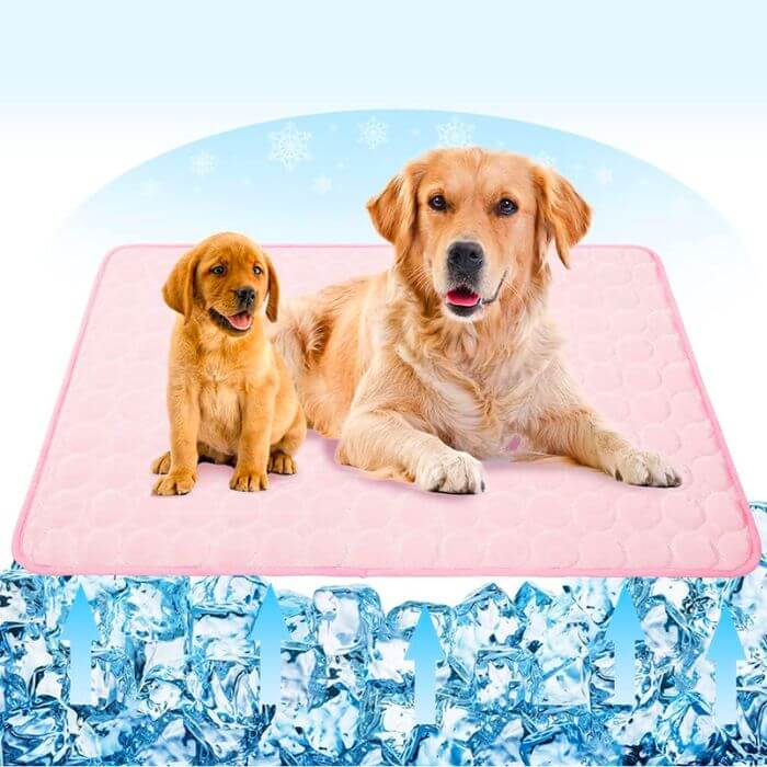 Um Golden Retriever adulto e um filhote estão relaxando em um tapete de resfriamento rosa. Flocos de neve decoram o fundo azul claro acima deles, simbolizando um ambiente frio. A base da imagem é adornada com uma ilustração de gelo, reforçando o propósito de resfriamento do tapete.