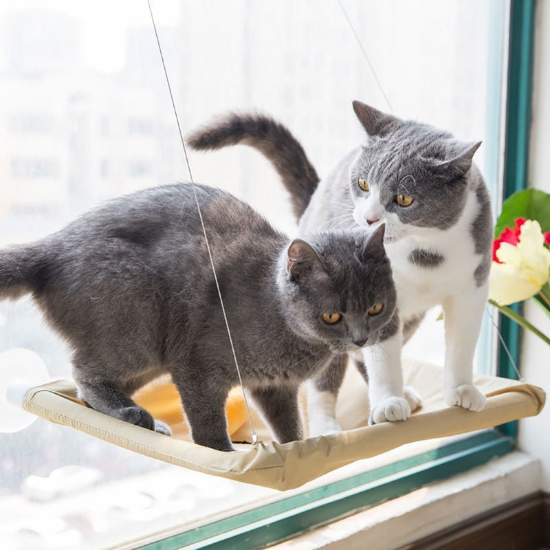 Cama De Janela Para Gato